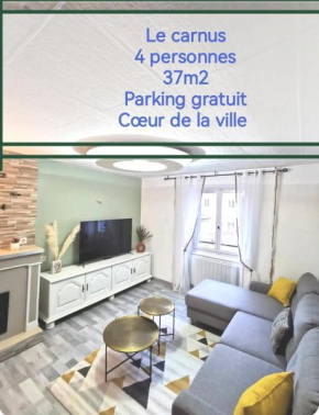 Rodez centre ville, Parking gratuit